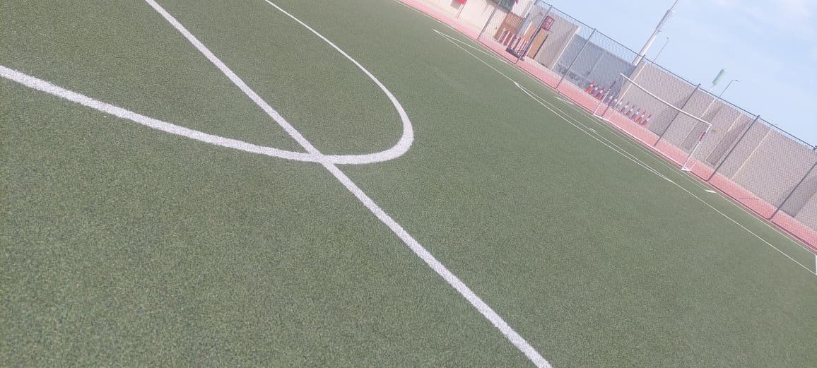 تقاطع الخطوط البيضاء على العشب