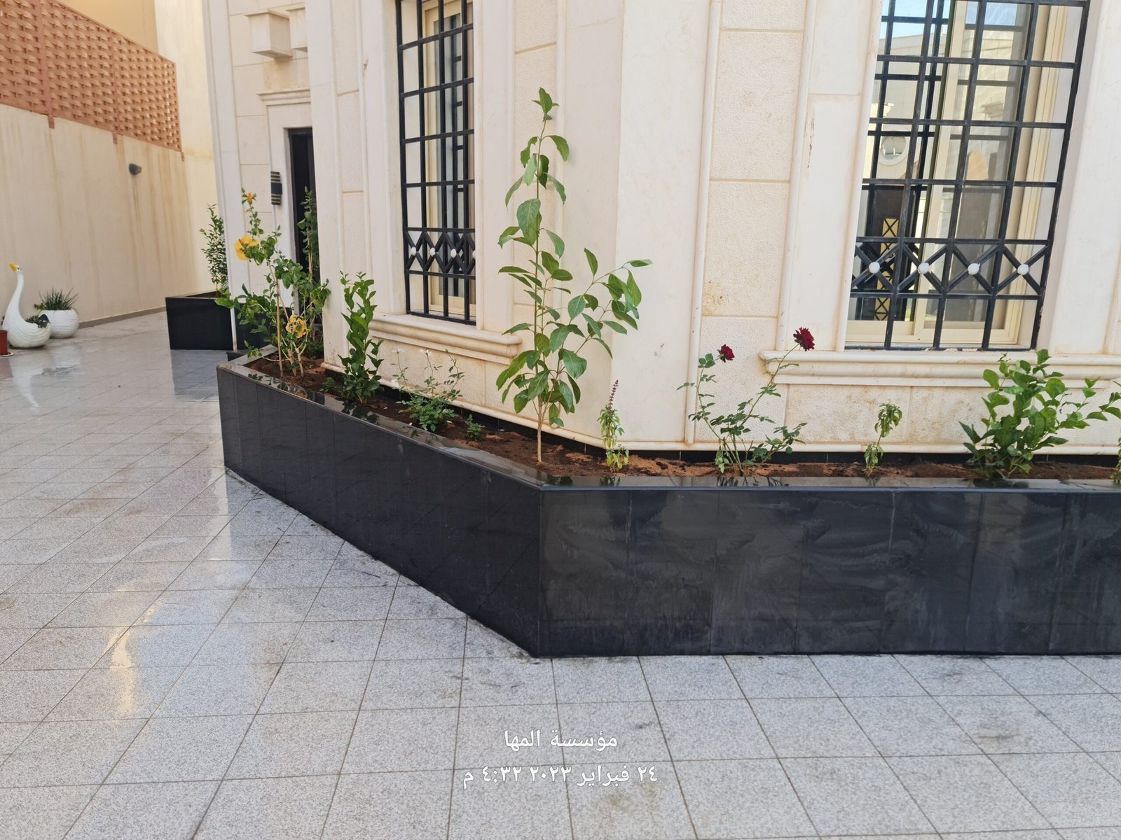 حوض زراعي مبني مغلف بالجرانيت الأسود بعد الزراعة على واجهة فيلا