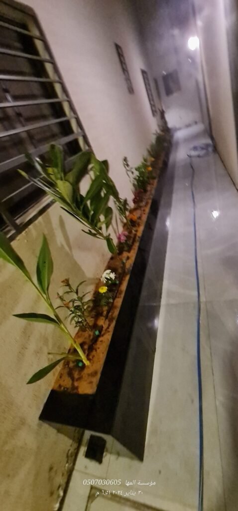حوض زراعي مبني أسود بطول ممر فيلا بعد الزراعة بإضاءة ليلية