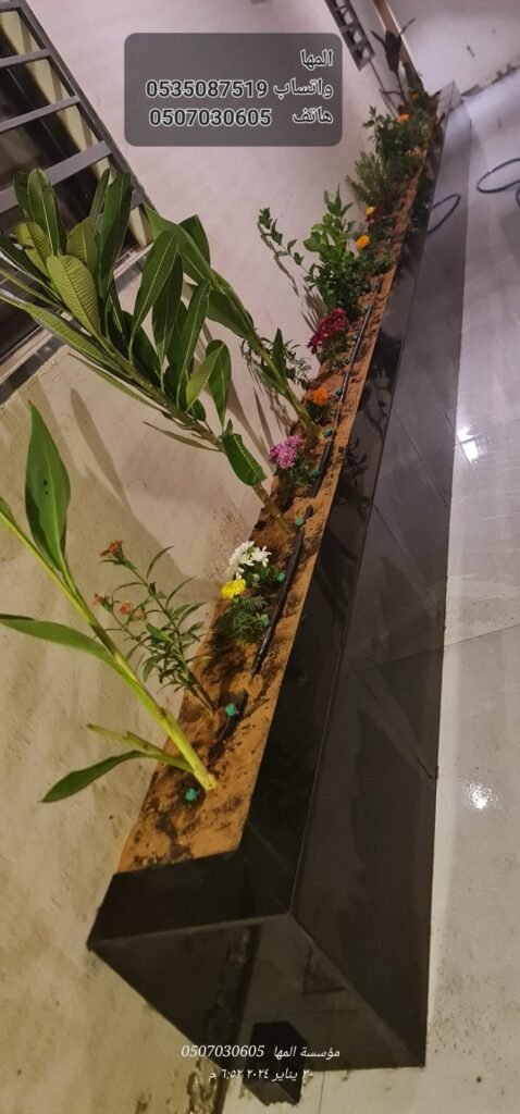 لقطة قريبة لزرع طبيعي وورود في حوض زراعي مبني داخل ممر فيلا