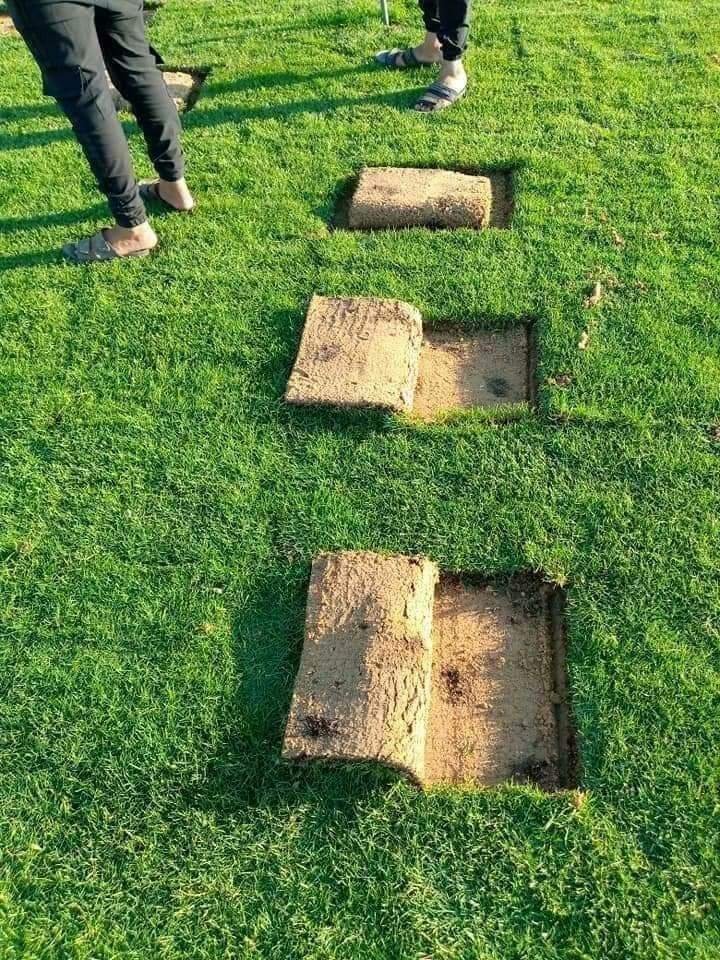 بلاطات دوس حجرية وسط العشب الصناعي