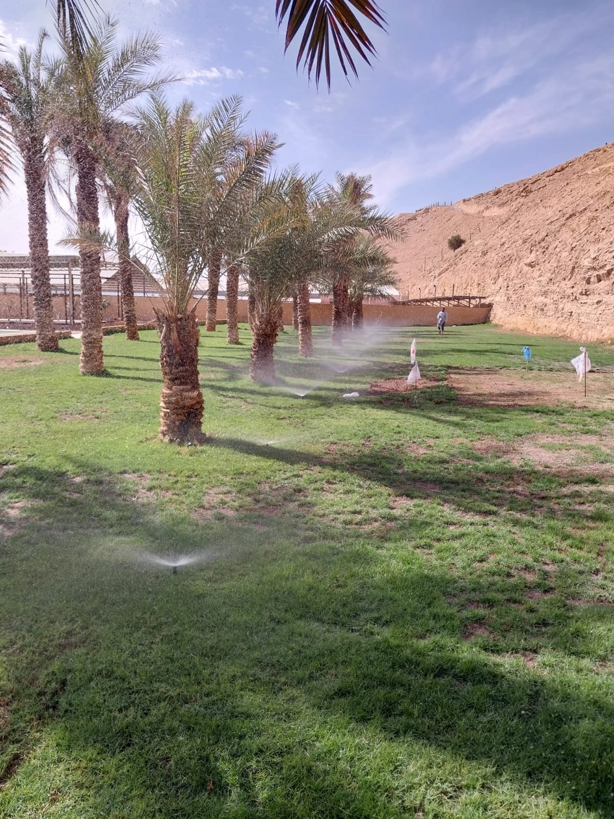 حديقة نخيل مكتملة بمسطح أخضر ورشاشات ري