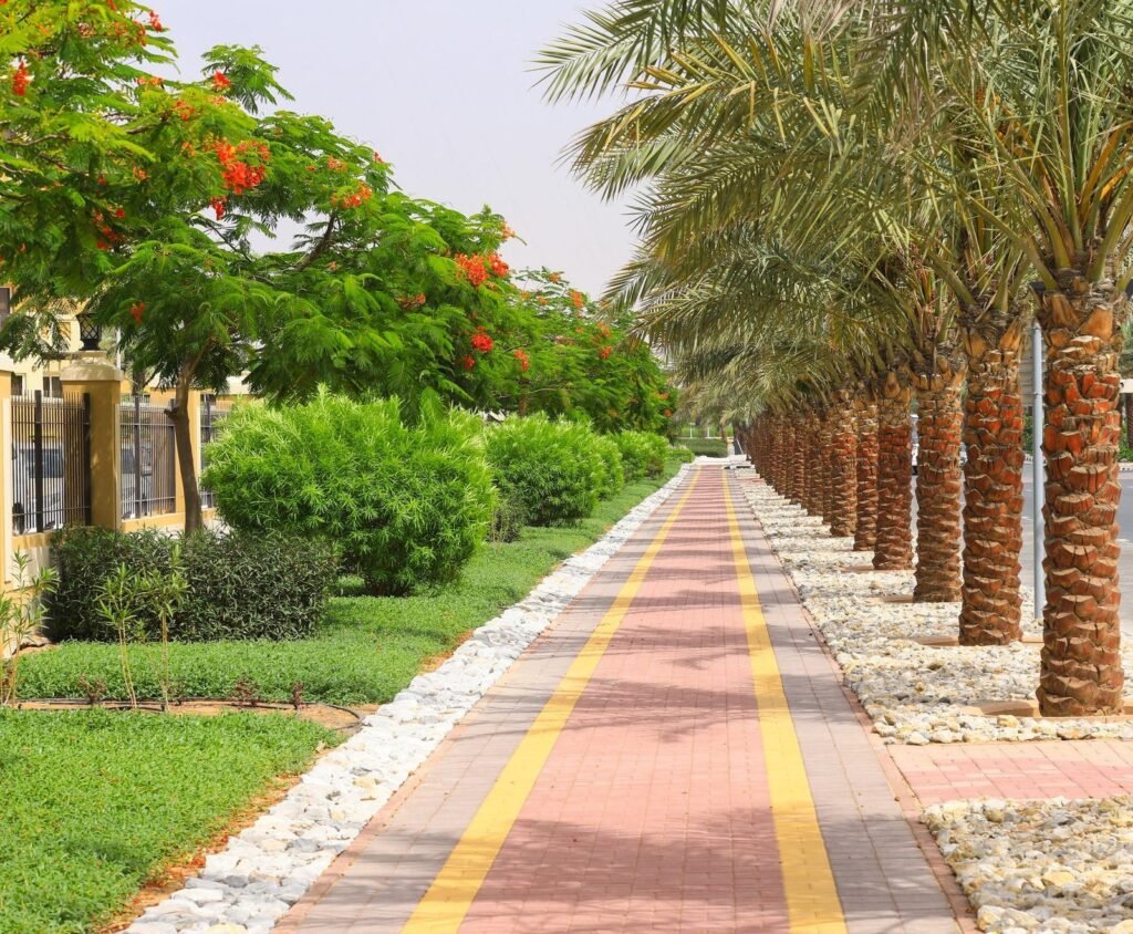 ممشى طويل منسق بصفوف نخيل ومسطحات خضراء وورود