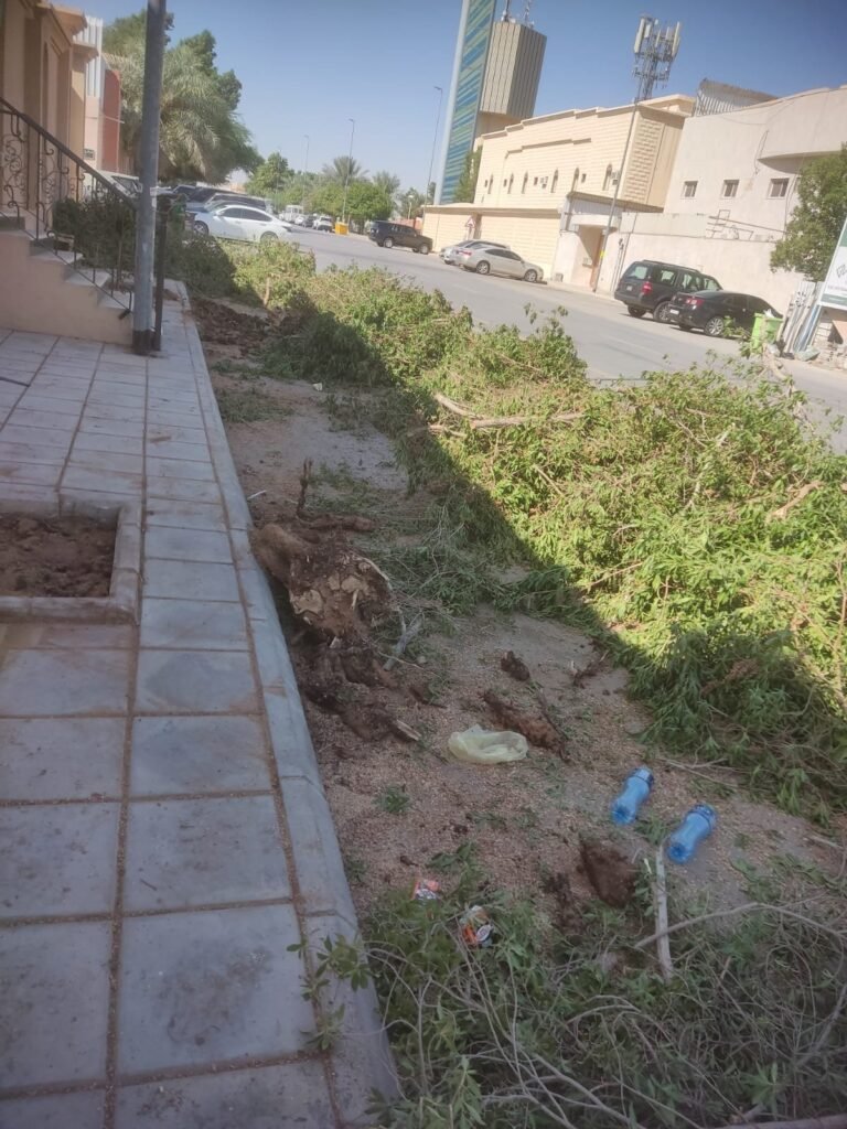 شجيرات سور خارجي بعد القص وجمع المخلفات على الرصيف
