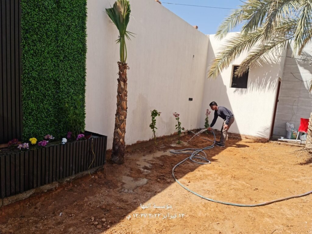 عامل يروي نخلة مزروعة حديثًا في حوش فيلا
