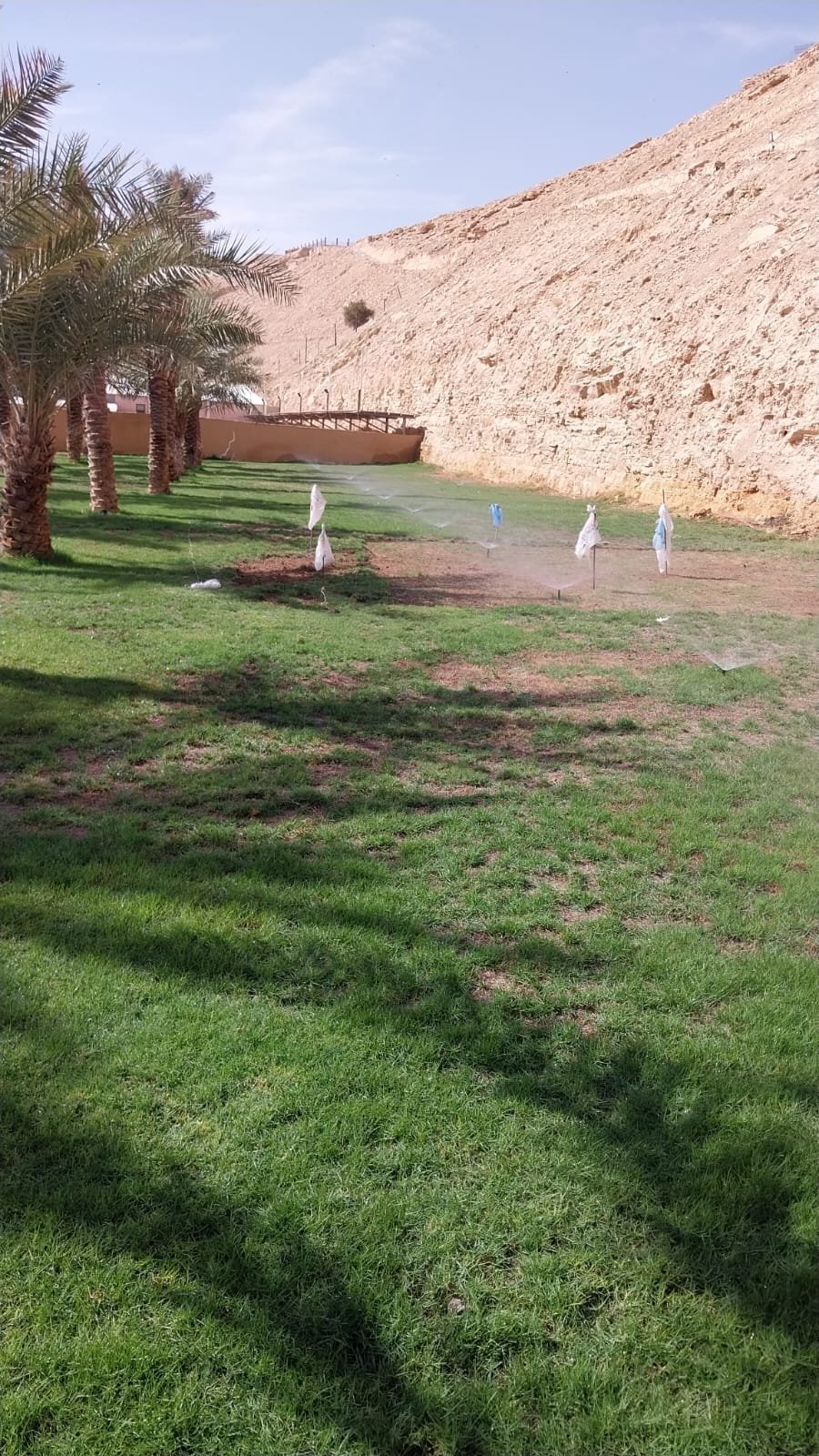 شبكة ري تعمل في مزرعة نخيل