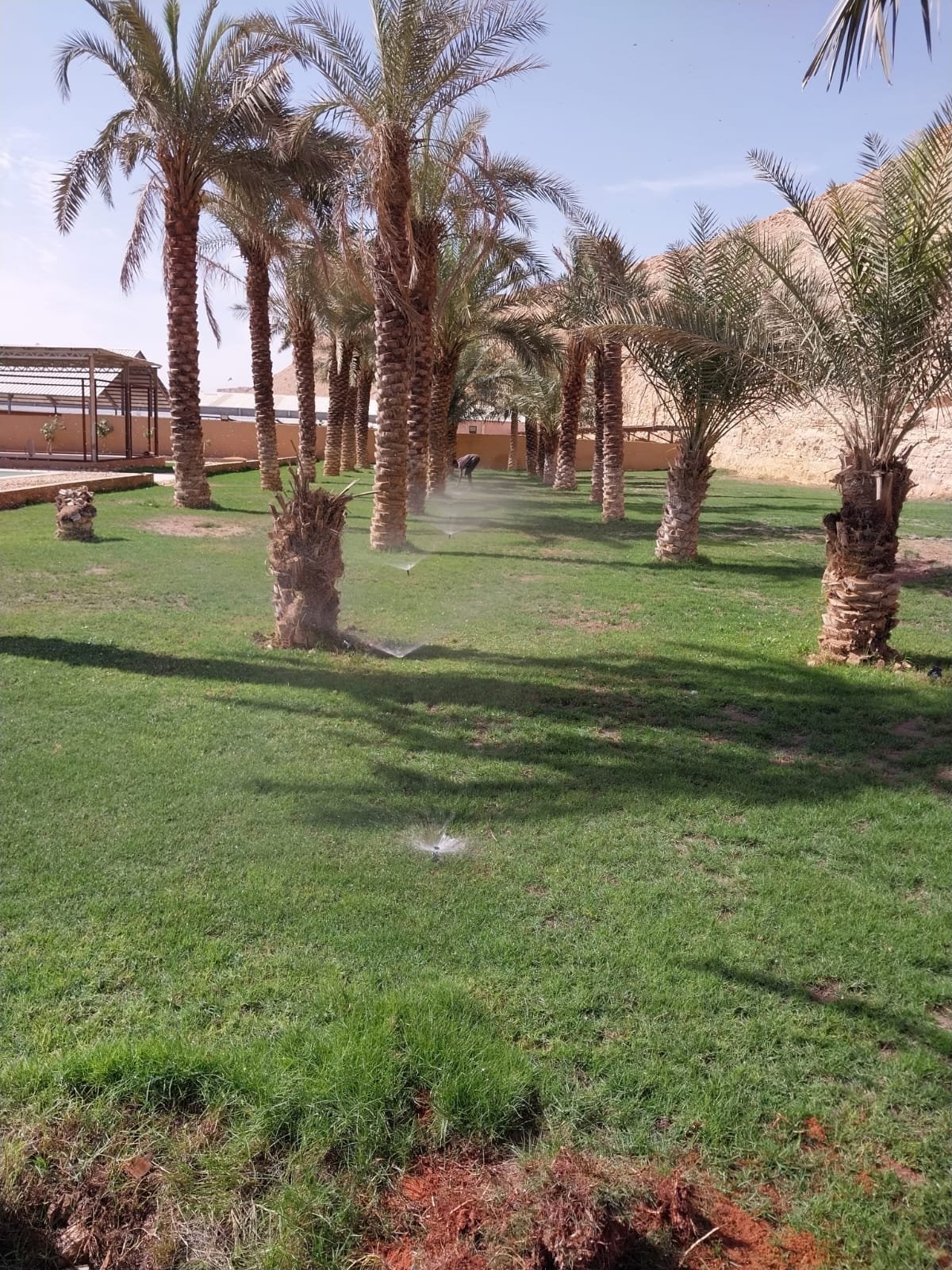 فحص وتشغيل شبكة ري المسطحات والنخيل