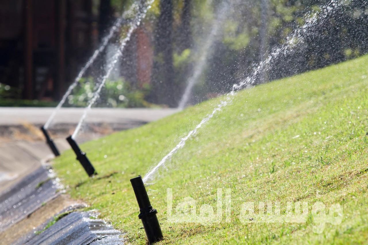 رشاشات الري على المسطح الأخضر — توثيق مؤسسة المها