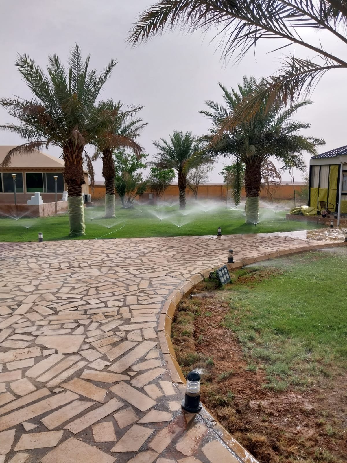 شبكة ري بالرش تعمل في استراحة نخيل بالرياض