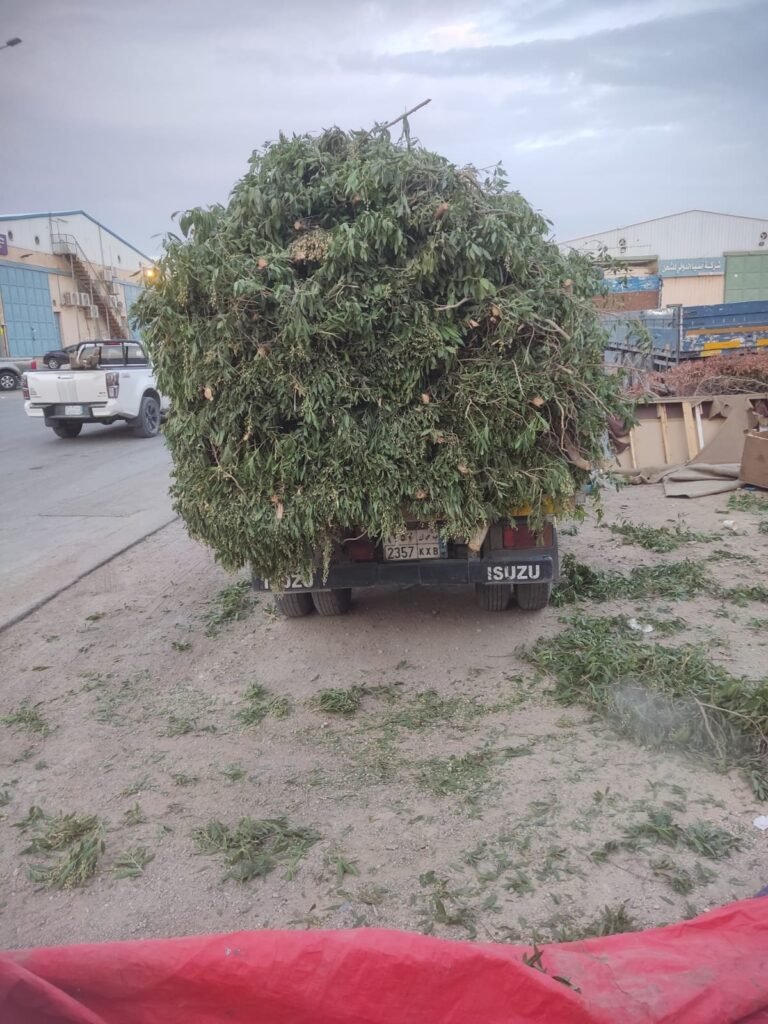 شاحنة محملة بمخلفات قص الأشجار لترحيلها خارج الموقع