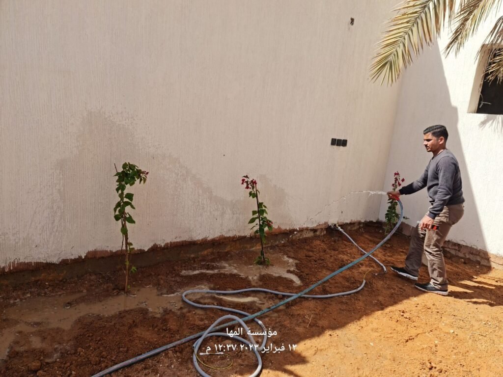 عامل يغرس شتلات جهنمية حديثة بجانب سور فيلا
