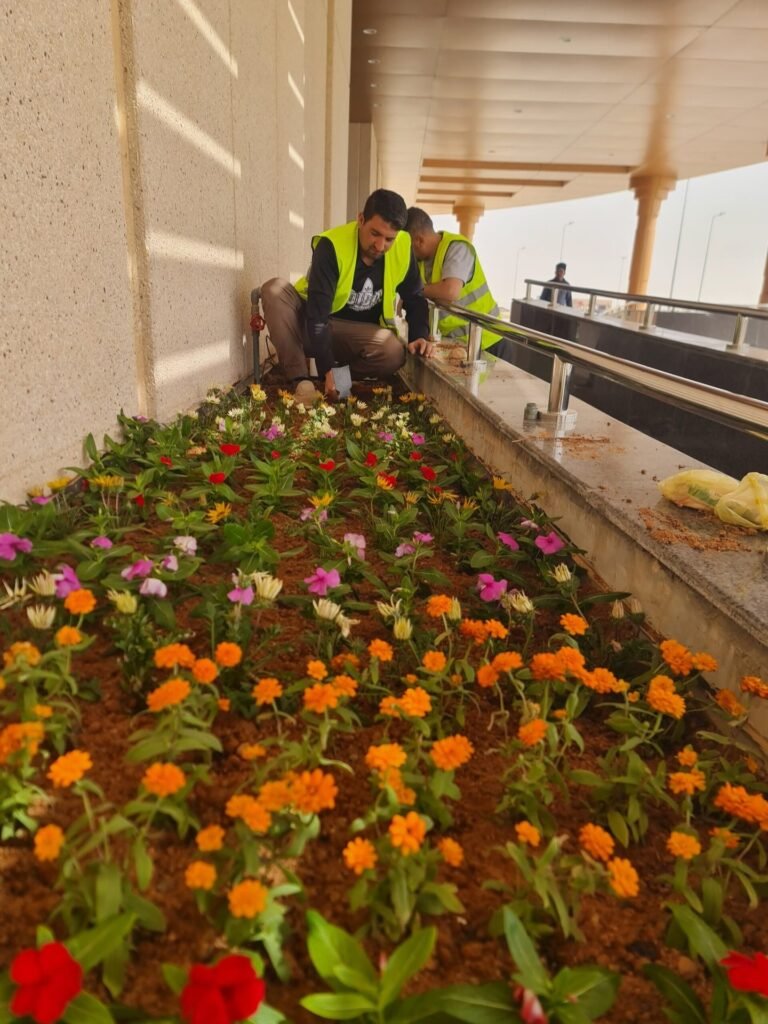 عمال يزرعون ورودًا موسمية ملونة في حوض طويل